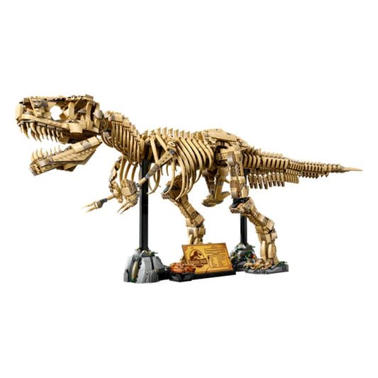T-Rex Dinosaurierskelett-Fossil - 76968